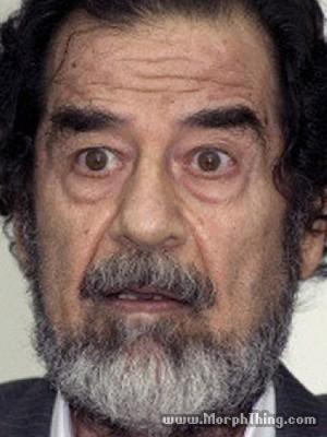 Saddam Hussein Osama Binladen. Saddam Hussein Osama Binladen.